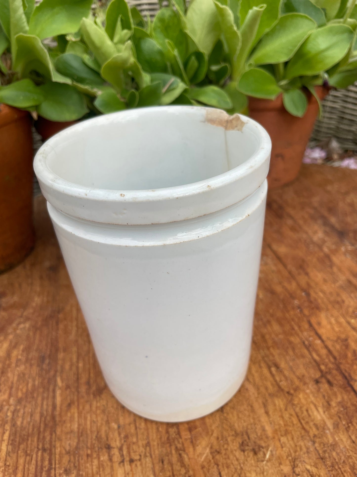French Felix Potin jar