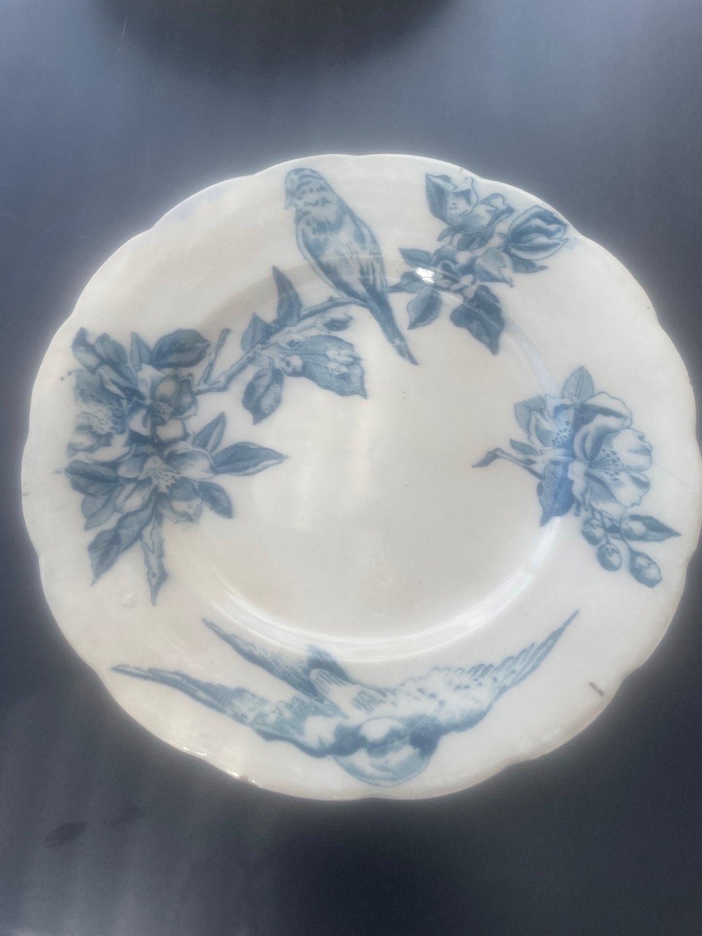 Antique blue bird plate