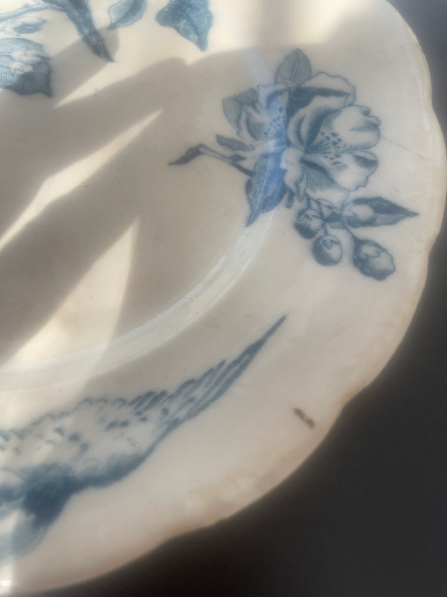 Antique blue bird plate