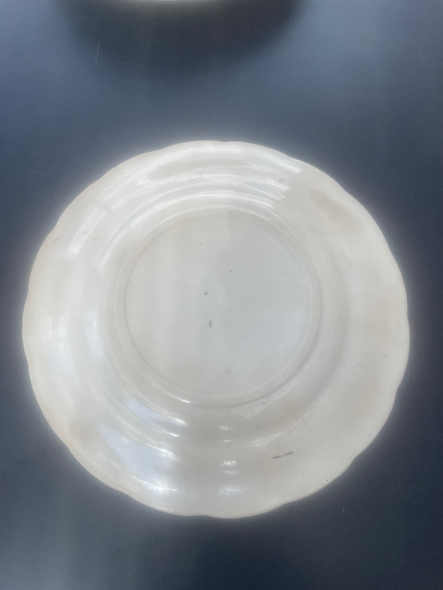 Antique blue bird plate